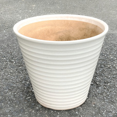 ウンベラータ用植木鉢（オフホワイト）