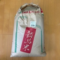 令和4年産 新潟県下田産コシヒカリ非BL 新米 玄米30kg 