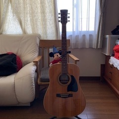 破格良音美品⭐️アイバニーズ アコースティックギター
