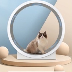 キャット ホイール 猫 ホワイト 120センチ