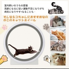 キャット ホイール 猫 ホワイト 120センチ