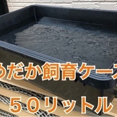 メダカ飼育ケース　５０リットル