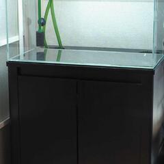 60cm水槽 水槽台 LEDライト ろ過装置 その他アクアリム用品セット 60cm水槽 水槽台 LEDライト ろ過装置 その他アクアリム用品セット