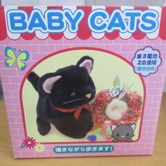 257   BABY  CATS   （黒ネコ）