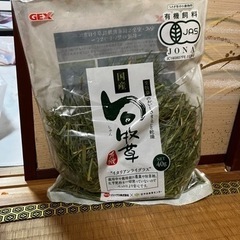 チモシー 牧草