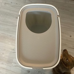 猫用トイレ　キャットトイレ　トップキャット