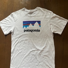 パタゴニア Tシャツ 