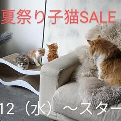 【子猫の夏祭りSALE】本日〜スタートの画像