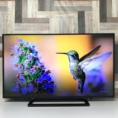 R0941) 東芝 32インチTV 32S22 2019年製! テレビ 店頭取引大歓迎♪