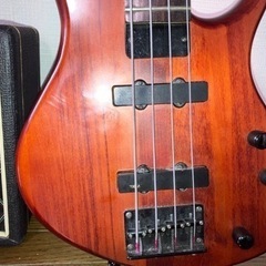 EPIPHONE トバイアスベース アンプ シールド チューナーセット