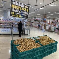 イオン大牟田でジャガイモの袋詰め放題！