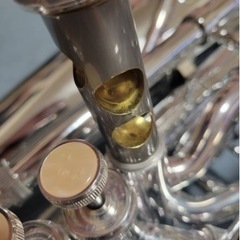 【決まりました】playtech PTHT-100SL