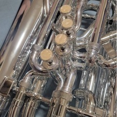 【決まりました】playtech PTHT-100SL