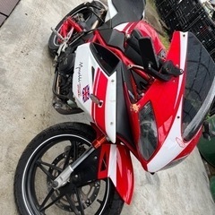 【ネット決済】メガリ Megelli 250r 19000km ...