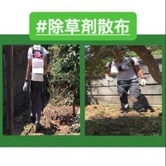 【除草剤散布】1件3,500円‼️【住宅や施設や太陽光等】