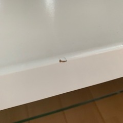 【急募】karimoku 鏡面白　ローテブル【値下げしました】