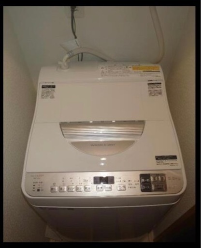 シャープ 5.5kg 洗濯機 ES-TX5 D (2019年11月14日発売）