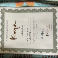 K.Nyui Custom Guitars ストラト