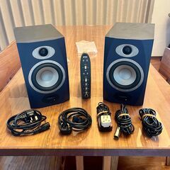 Tannoy REVEAL 5Aはアクティブ・モニター　と　SP...