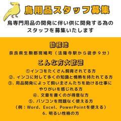 インコ専門飼育用品開発スタッフ募集