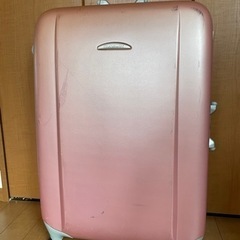 【譲渡先さま決定】EVERWIN スーツケース 90L〜大きめ