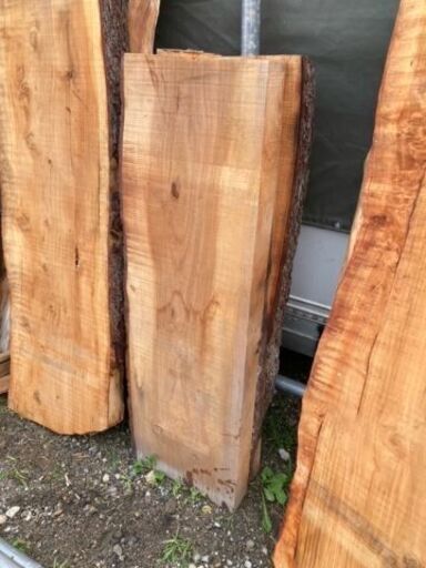 米松の 一枚板. Natural wood counter-tops / table-tops