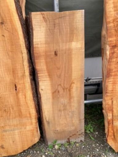 滋賀県のその他 米松の 一枚板. Natural wood counter-tops / table-tops