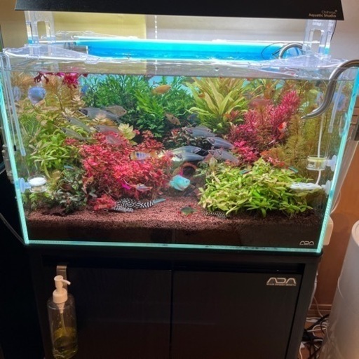 アクアリウム ADA フルセット
