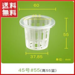 水耕栽培用ポット 45号高さ55mm（直径6cm） 透明  10...