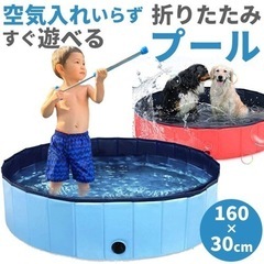 プール　子供　犬　円形　160cm
