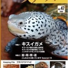 クリーパー　爬虫類雑誌