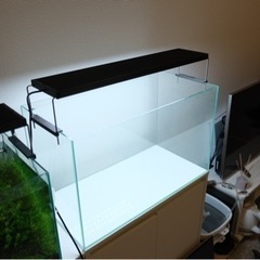 Chihiros WRGBⅡ60 アクアリウム