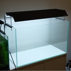 Chihiros WRGBⅡ60 アクアリウム