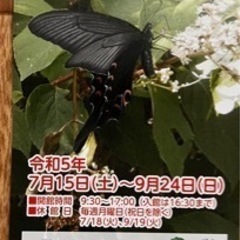 栃木県立博物館　'23夏企画展『花と虫』