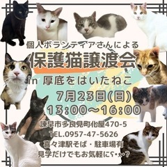 保護猫譲渡会 in 厚底をはいたねこ 7月