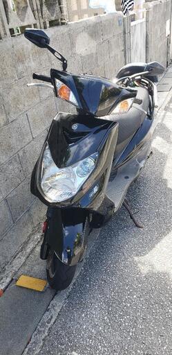 シグナスX　2型　国内