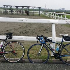 東京・神奈川で一緒にロードバイクで走りませんか？ − 東京都