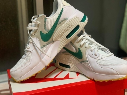 スニーカー Nike Airmax new size 26.5cm