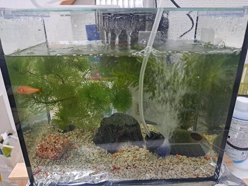 水槽セット売ります。