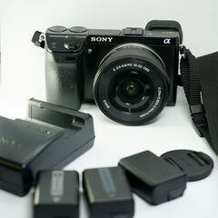 ソニー SONY ミラーレス一眼 α NEX-7+ PZ 16-...