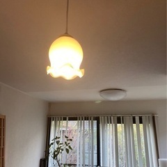 照明 花形 ランプ 2個セット