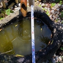 ◎お値下げしました‼️ 古い時代 つくばい 蹲 御影石手水鉢天然自然石坪庭茶道石仏庭園道祖神庭石坪庭鑑賞オブジェ茶人古田織部古民具盆栽 