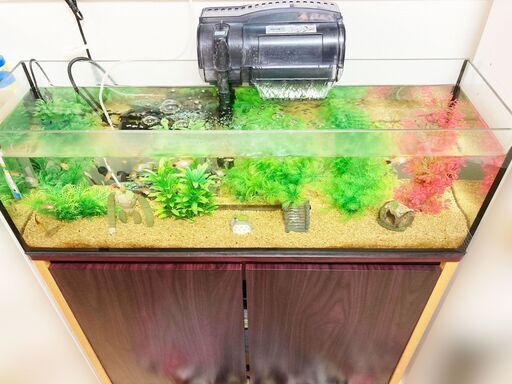 熱帯魚　水槽道具一式