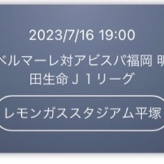 【ネット決済・配送可】J1リーグ 湘南ベルマーレ　対　アビスパ福岡戦