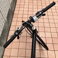 ルイガノ　LOIS GANEAU クロスバイク