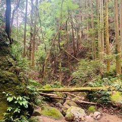 山登りしましょう♪