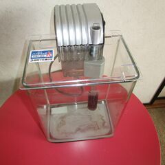 ガラス水槽（浄化ポンプ付き）