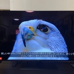 panasonic テレビ　TH-65FZ950