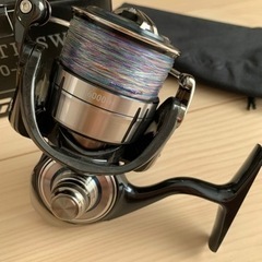 21セルテートSW 6000-H