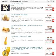 【無人販売知恵袋】2023年7月バターナッツカボチャの価格